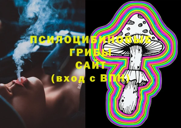 стафф Верея