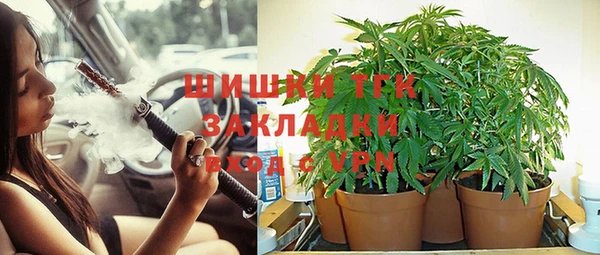 стафф Верея