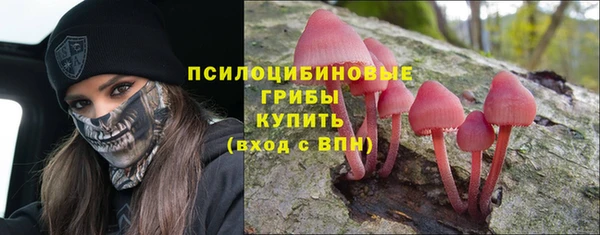 стафф Верея