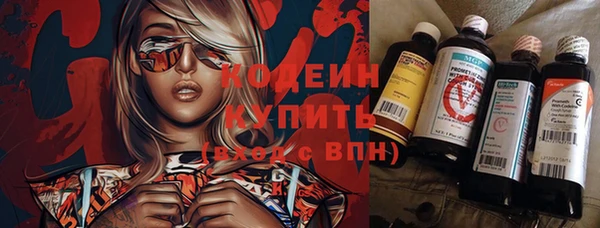 ПСИЛОЦИБИНОВЫЕ ГРИБЫ Верхний Тагил
