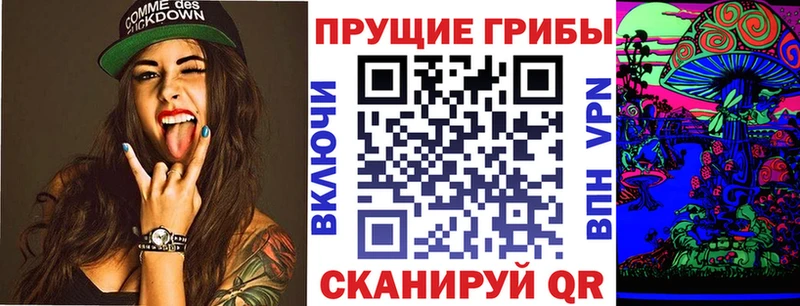 купить наркотики цена Грозный Псилоцибиновые грибы MAGIC MUSHROOMS